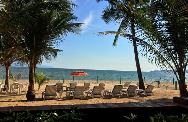 Private beach for guest. Plenty of loungers, tables, umbrellas & palms for all!