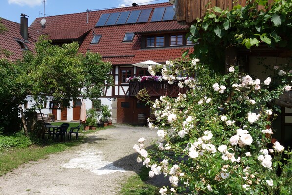 Exteriör