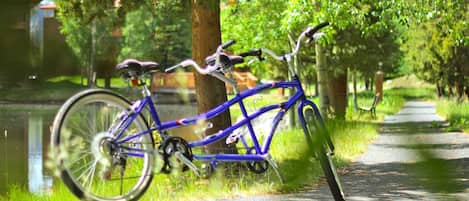 Tandem bikes ready to go for rides around Lake Dillon!