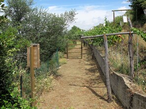 Nature Reserve, Trail, Tree, Rural Area, Walkway, Plant Community, Plant, Landscape, Fence, Thoroughfare