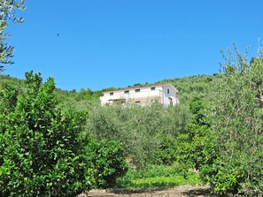 Vegetation, Tree, Green, Natural Landscape, Shrubland, Plant Community, Nature Reserve, Land Lot, Biome, Plant