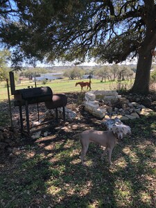 Beautiful “Country Chime “ ranch home.
OPEN NOW , sterilized clean !!!!!