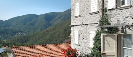 Cielo, Pianta, Finestra, Proprietà, Costruzione, Vaso Di Fiori, Pianta Della Casa, Fiore, Porta