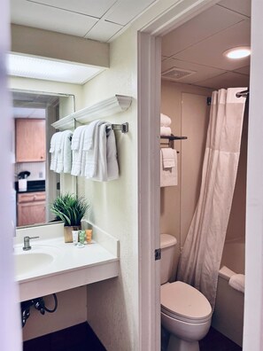 A spa-like experience in our bathroom!