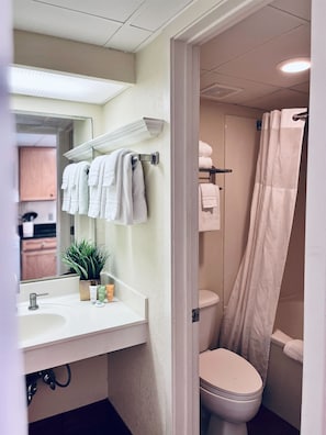 A spa-like experience in our bathroom!
