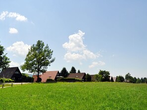 Wolke, Himmel, Pflanze, Ökoregion, Baum, Natürliche Landschaft, Grün, Gras, Grundstueck