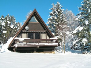 Snow, Winter, Property, Tree, Sky, Home, Freezing, House, Log Cabin, Architecture