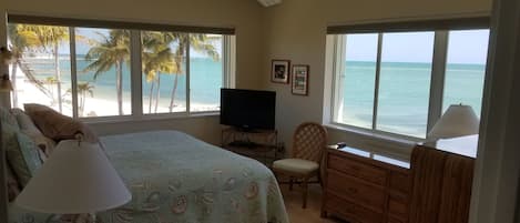 Master Bedroom with South and East oversize windows.