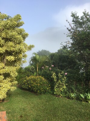 Gramado ao lado da piscina