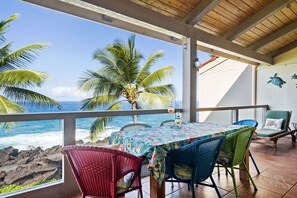 180 degree view of the ocean including birds, dolphins and whales!