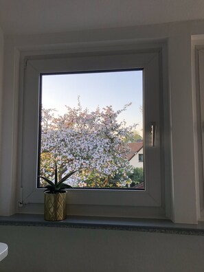 Ausblick auf die Apfelblüte 