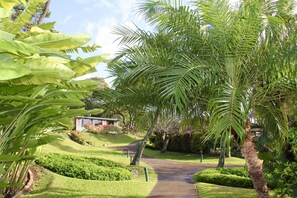Cottage with ocean view on front side and golf course on the back side. Privacy