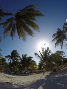 Beachfront Apartment (4 guests)    