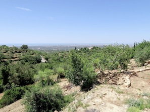 Vegetación, Shrubland, Planta De La Comunidad, Árbol, Paisaje Natural, Entorno Natural, El Terreno Del Lote, Biome, Chaparral, Desierto