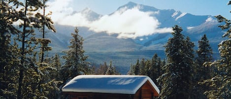 Pine cabin