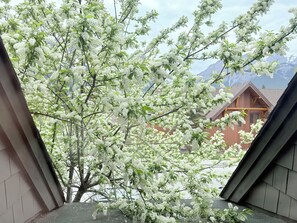Primary Bedroom Window