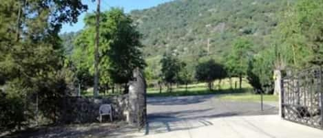 Our lovely gate entrance to a spacious courtyard with carport parking. 