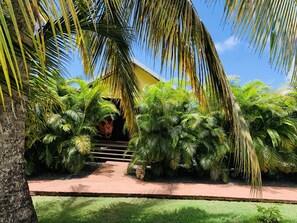 Vista para o jardim