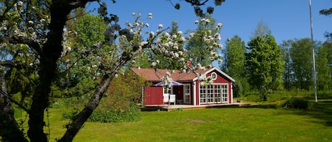 Udendørsområde