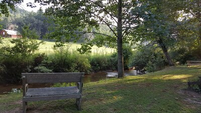 Campsite #2 on the banks of Crab Creek, tent camping near Dupont State Forest!