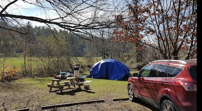 Campsite #3! Tent camping near Dupont State Forest!