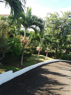 Property grounds