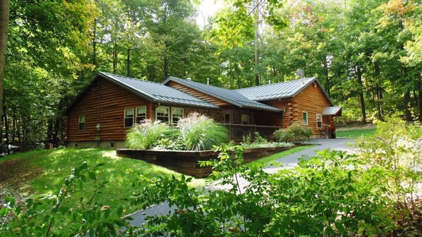 Cabin Frontside
