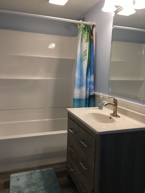 bathroom was fully renovated with new tub/shower, flooring, and vanity