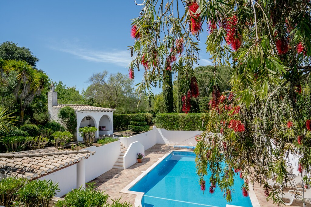 Picture of villa