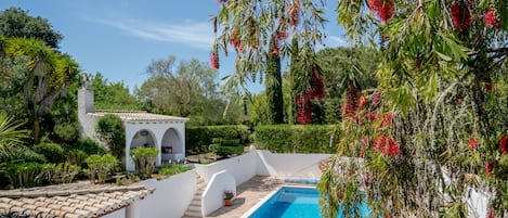 View of the pool from the balcony.