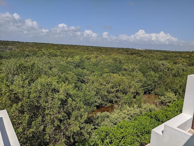 Exclusiva casa nueva en la playa de Akumal + Nado con tortugas / 25 min TULUM y PDC