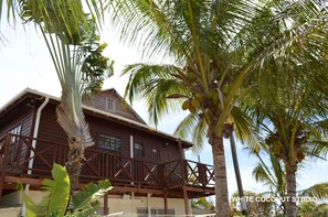 White Coconut Studio