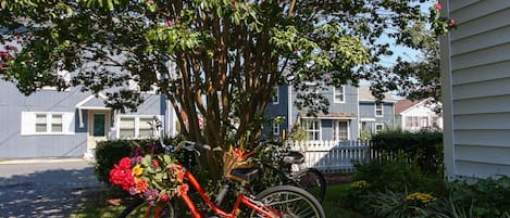 Bicycles Around Town