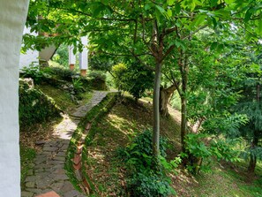 Vegetation, Baum, Grün, Natürlichen Umgebung, Naturschutzgebiet, Pflanze, Blatt, Biome, Botanik, Gehölz