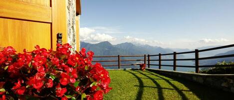 Flower, Sky, Plant, Property, Building, Fence, Architecture, Sunlight, Flowerpot, Grass