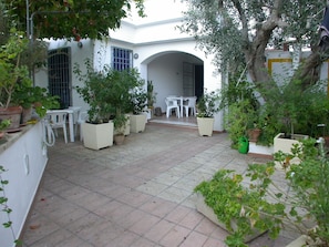 Terraza o patio