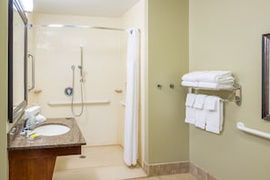 The bathroom features a roll-in shower.