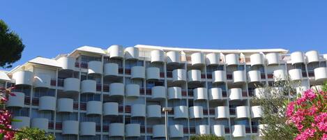 Blume, Himmel, Pflanze, Gebäude, Baum, Strauch, Fenster, Fassade, Urban Design, Strassenlicht