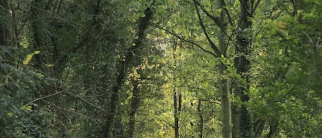 Overnatningsstedets område