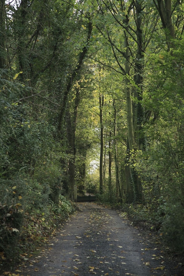 Boendeområde