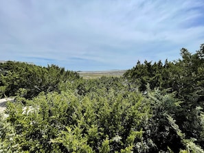 View