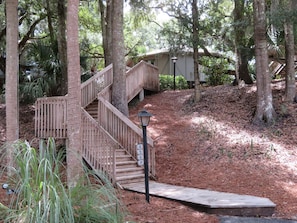 Steps - from parking area to the Treehouse !