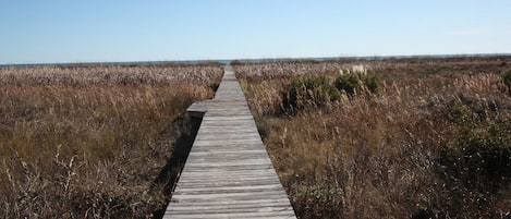 Your private boardwalk