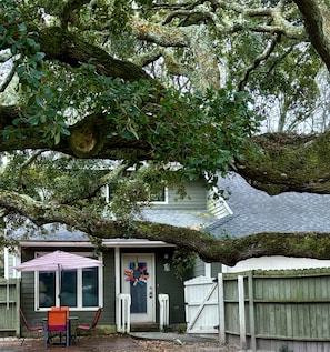 Privacy fence surrounds the front yard with majestic grand oak 