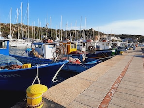 Fiske