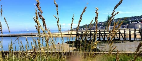 Au pied de votre appartement, le calme, la mer, et le chant des mouettes..🌾🌾