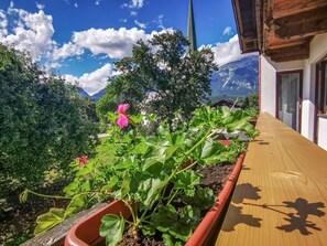 Blume, Wolke, Pflanze, Himmel, Eigentum, Pflanzengemeinschaft, Grün, Fenster, Blatt, Blau