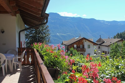 Affascinante Appartamento B-Obermösslhof con Wi-Fi, Terrazza e Vista Montagna; Parcheggio disponibile, Animali domestici ammessi