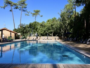 Water, Sky, Property, Plant, Swimming Pool, Azure, Tree, Body Of Water, Natural Landscape, Leisure