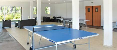 Table, Table Tennis Racket, Furniture, Sports Equipment, Ping Pong, Hall, Window, Building, Recreation Room